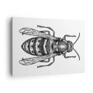 Obraz na płótnie - Rysunkowy motyw osy na białym tle w stylu minimalistycznym - 70x50cm - Z owadziej planety - Nowoczesna dekoracja ścienna do salonu i sypialni ARTTOR