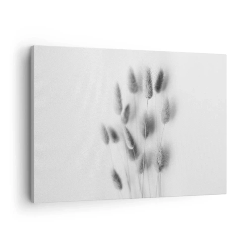 Obraz na płótnie - Delikatne trawy w odcieniach szarości na białym tle - 70x50cm - Jej puszystość trawa - Nowoczesna dekoracja ścienna do salonu i sypialni ARTTOR