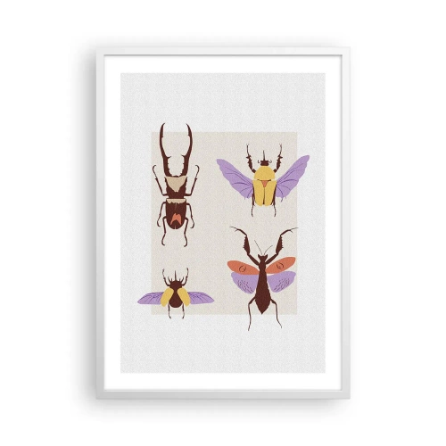Plakat w białej ramie - Owadzi świat - 50x70 cm