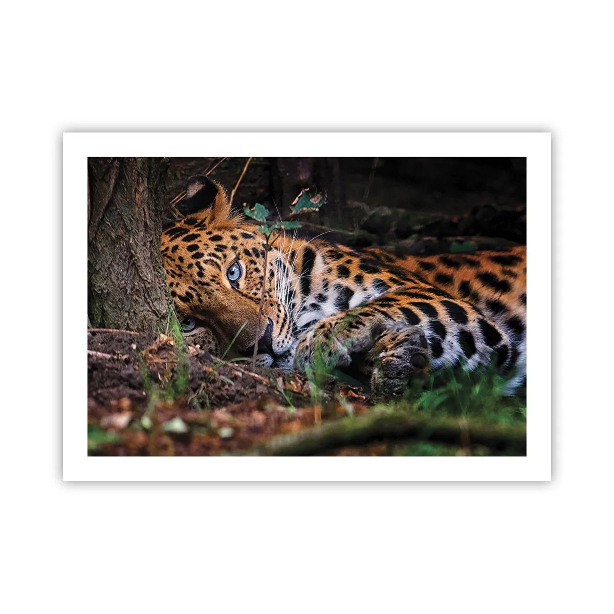 Plakat - Zaufaj mi - 70x50 cm