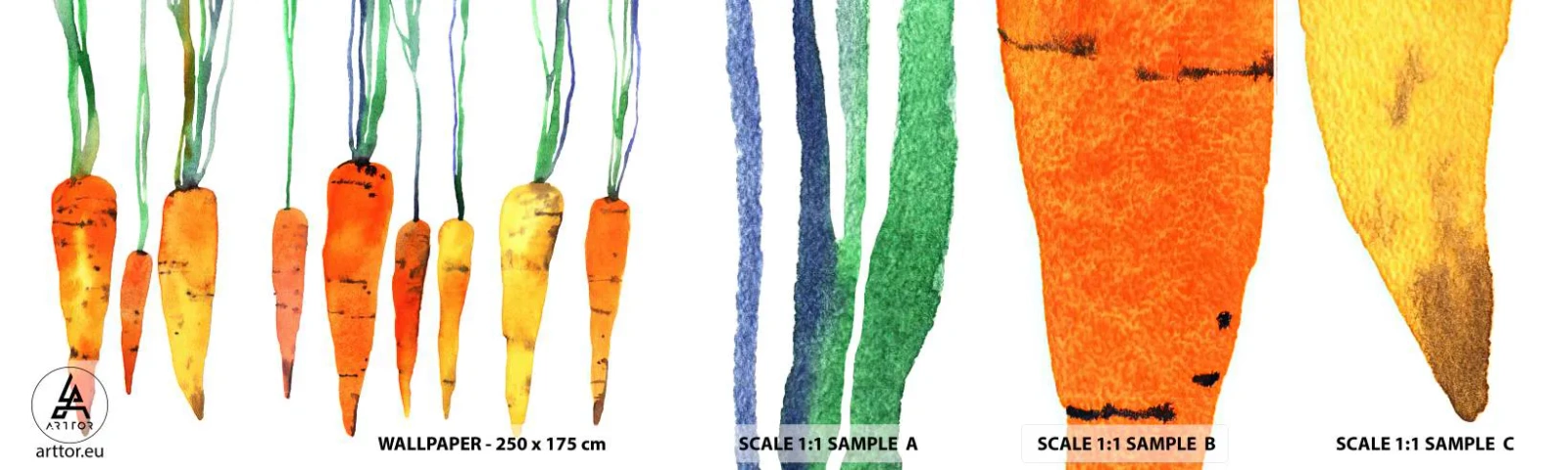 Fototapeta Próbka Samoprzylepna Deluxe Sticker - Uroda zwyczajności - Gastronomia, Marchewka, Grafika - 100x30 cm