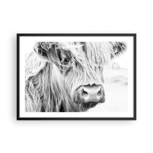Plakat w czarnej ramie - Portret szkockiej krowy w czerni i bieli - 70x50cm - Szkocka dzikość - Nowoczesna dekoracja ścienna do salonu i sypialni ARTTOR