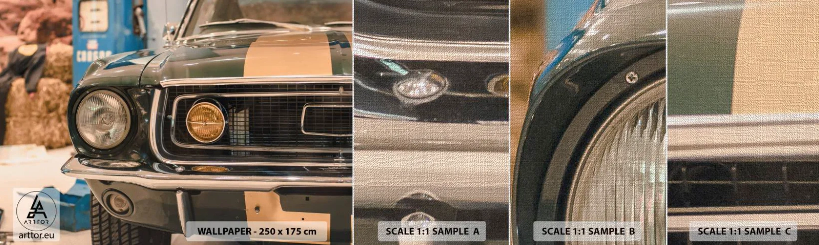 Fototapeta Próbka Premium Canvas - Spotkanie z legendą - Samochód, Motoryzacja, Oldchool - 100x30 cm