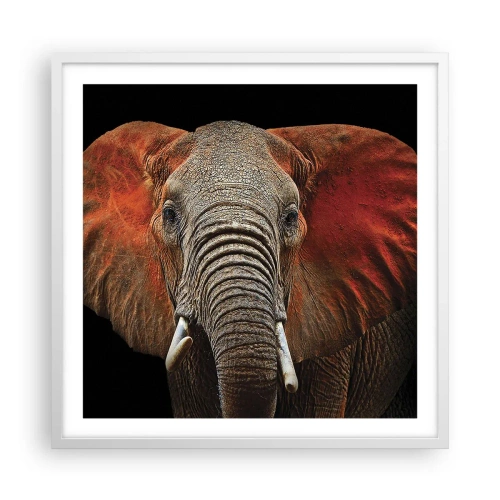 Plakat w białej ramie - Jestem dziki, a ty? - 60x60 cm