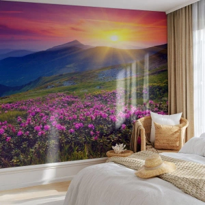 Fototapeta Premium Canvas - … A dokoła pachnie kosodrzewina i wonieją zioła - Krajobraz, Góry, Zachód Słońca - 200x140 cm