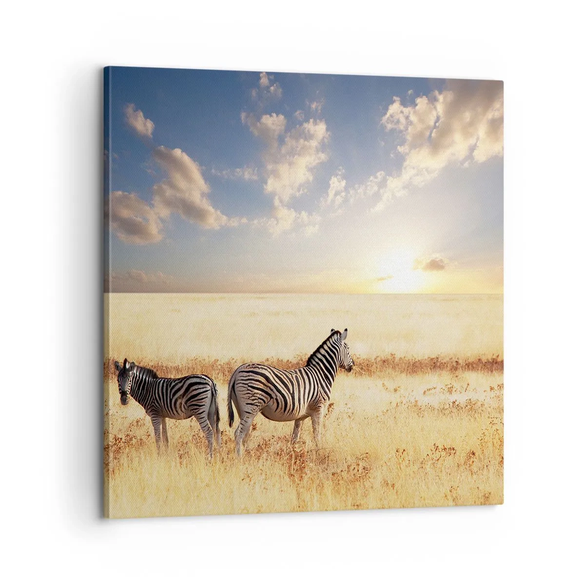 Obraz na płótnie - Idź stąd, nie mąć spokoju - 60x60 cm