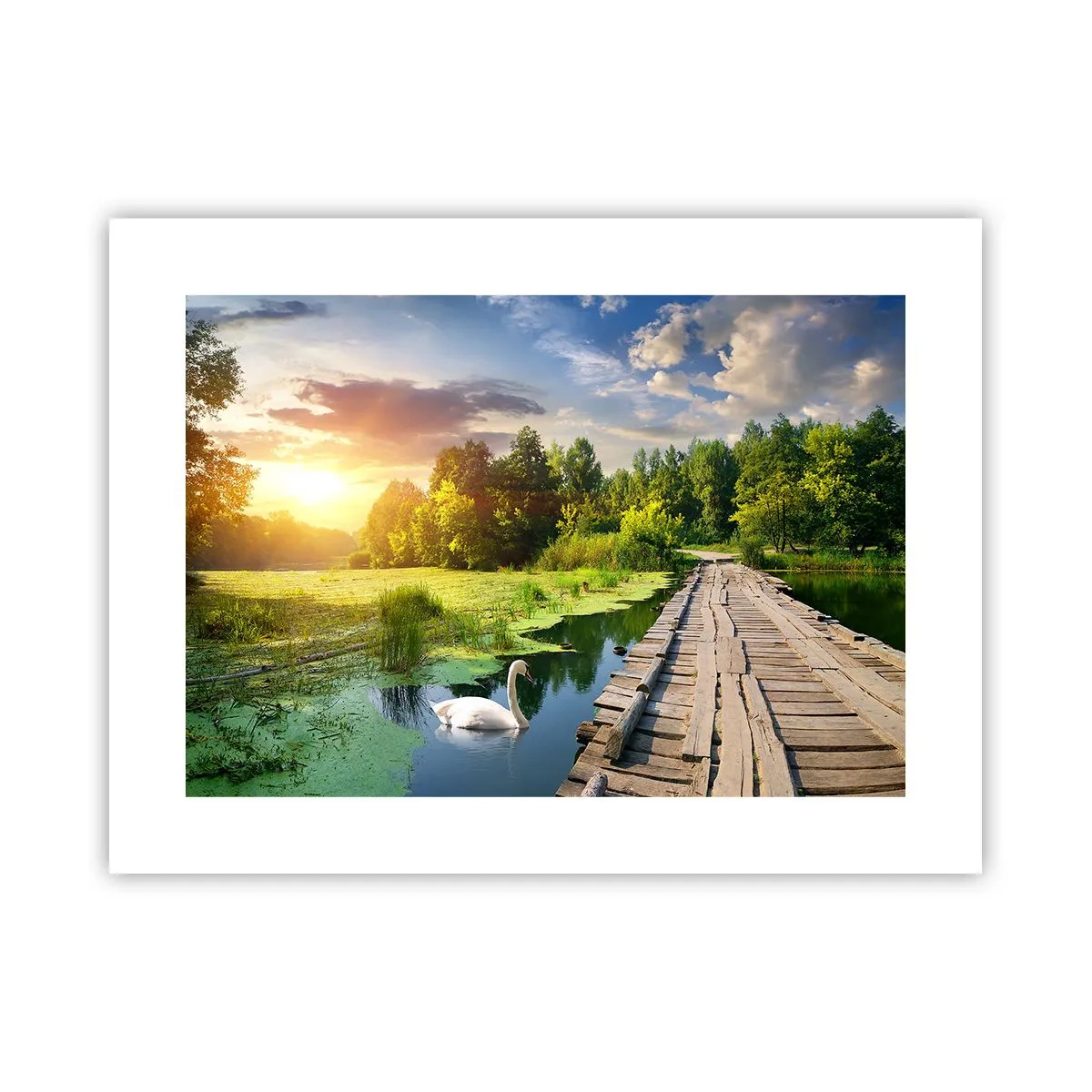 Plakat - Lato, lato wszędzie - 40x30 cm
