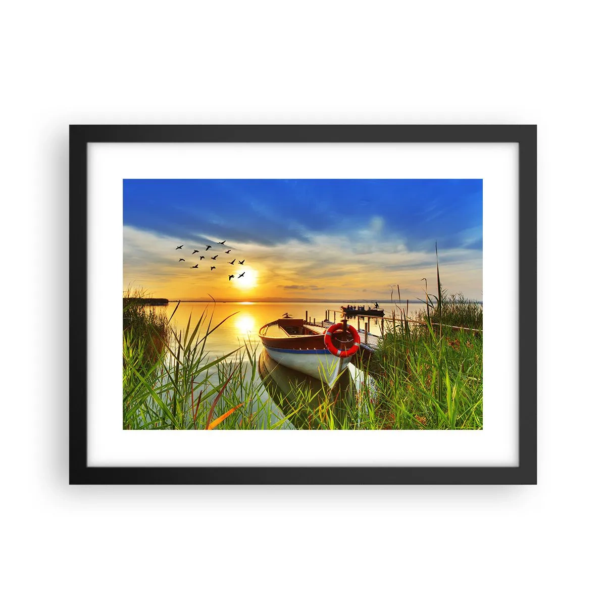 Plakat w czarnej ramie - Kormorany odlatują już - 40x30 cm