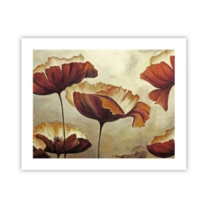 Plakat - Łąki łan - 50x40 cm