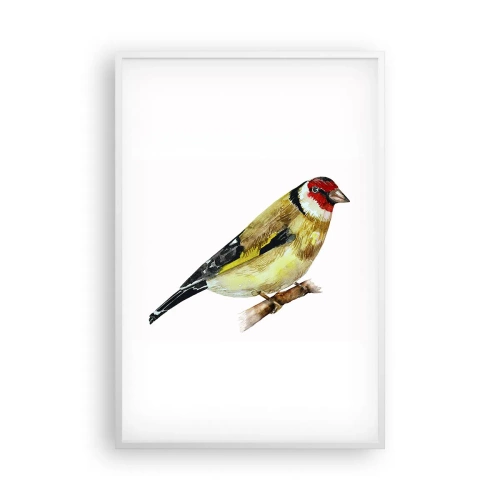 Plakat w białej ramie - Ptasi portret - 61x91 cm