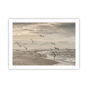 Plakat - Morza szum, ptaków śpiew - 70x50 cm