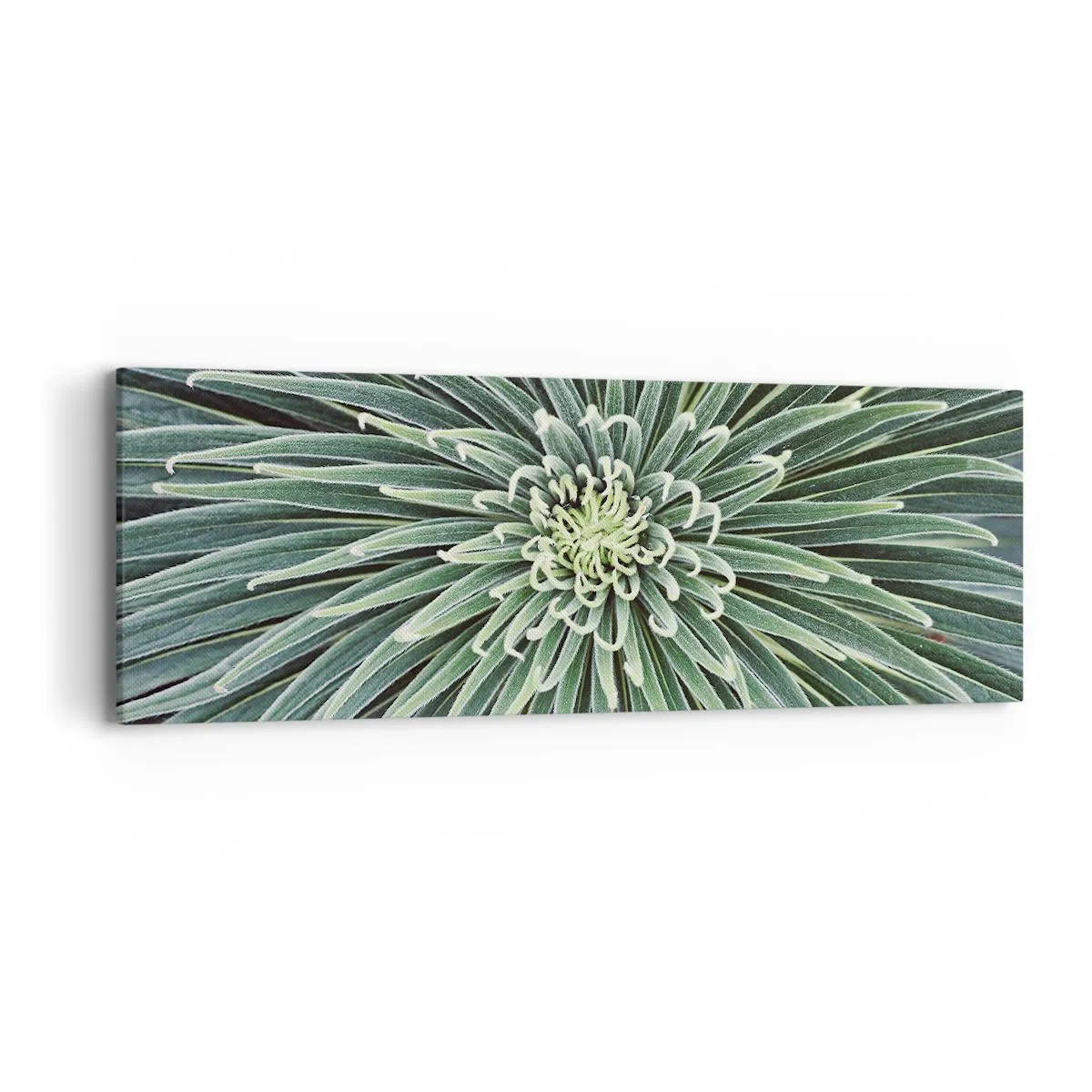 Obraz na płótnie - Narodziny gwiazdy - 90x30 cm