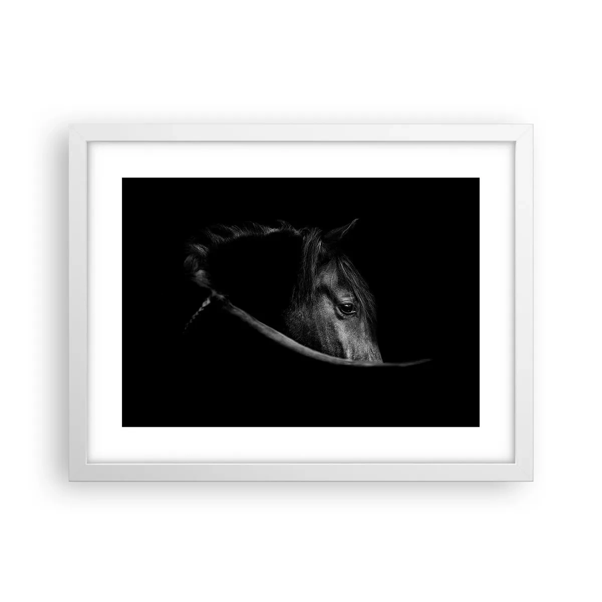 Plakat w białej ramie - Czarny książę - 40x30 cm