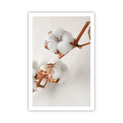 Plakat - Tylko tulić - 61x91 cm