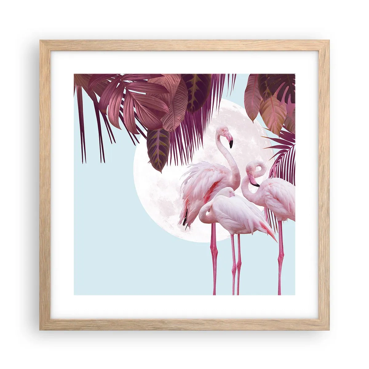 Plakat w ramie jasny dąb - Trzy ptasie gracje - 40x40 cm