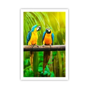 Plakat - A słyszałaś, że ona…? - 61x91 cm