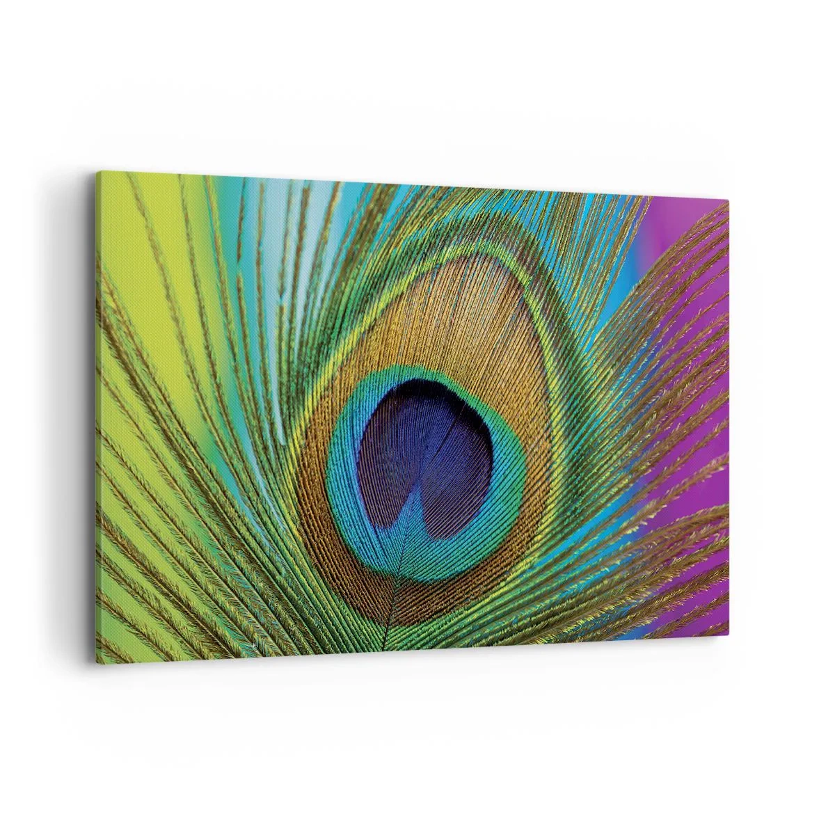 Obraz na płótnie - Zbliżenie na pióro pawia z wyrazistymi kolorami - 120x80cm - Oko w oko - Nowoczesna dekoracja ścienna do salonu, kuchni i sypialni ARTTOR