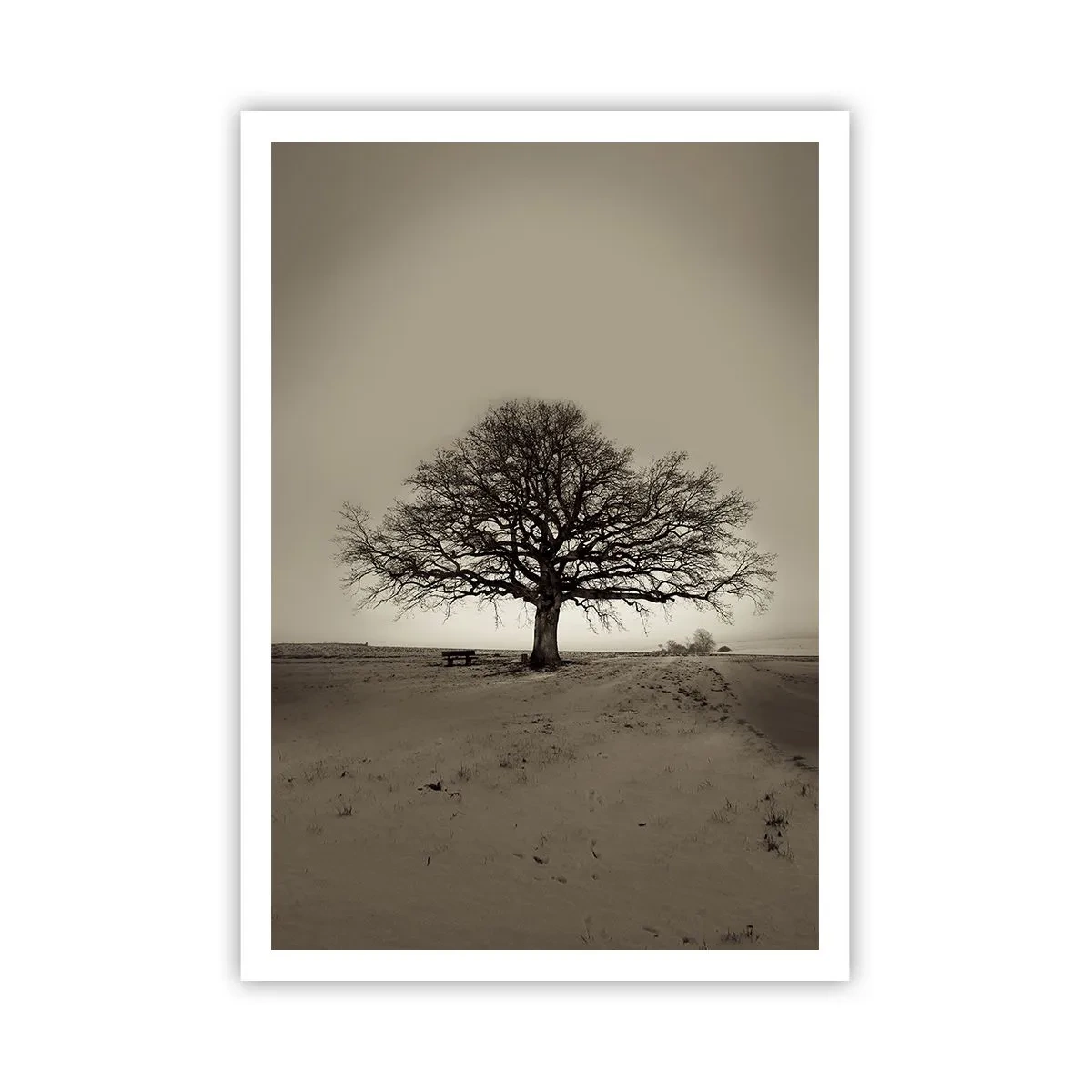 Plakat - Stąd do wieczności - 70x100 cm