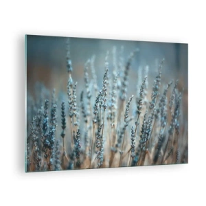 Obraz na szkle - Pole lawendy w delikatnym świetle o chłodnym odcieniu - 70x50cm - Pachnący łan - Nowoczesna dekoracja ścienna do salonu i sypialni ARTTOR
