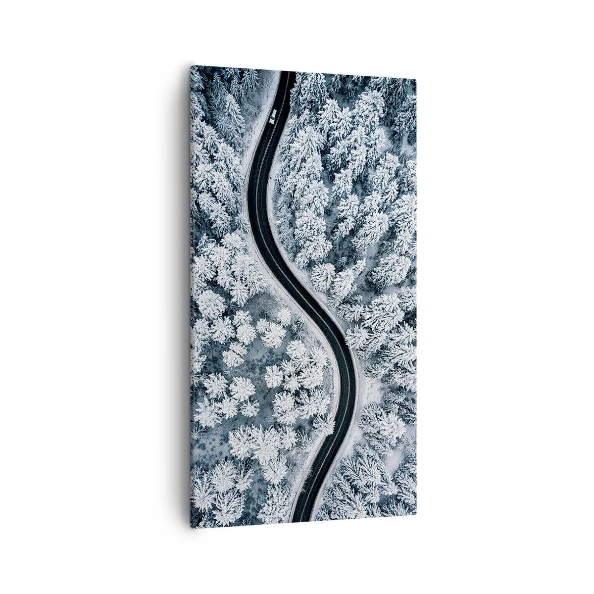 Obraz na płótnie - Przez zimowy las - 55x100 cm