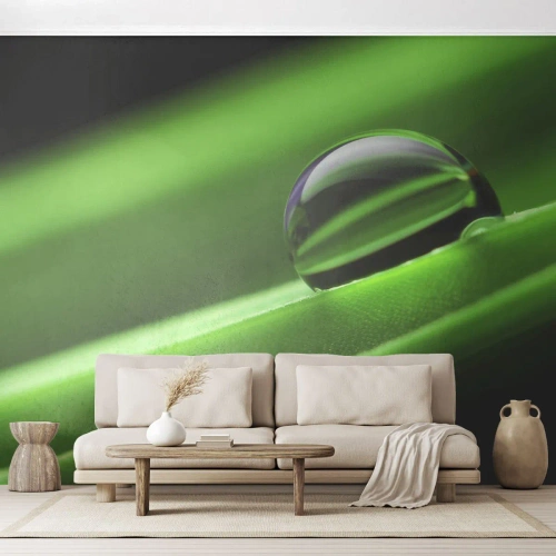 Fototapeta Premium Canvas - Życie z bliska - Abstrakcja, Grafika, Kropla Wody - 450x315 cm