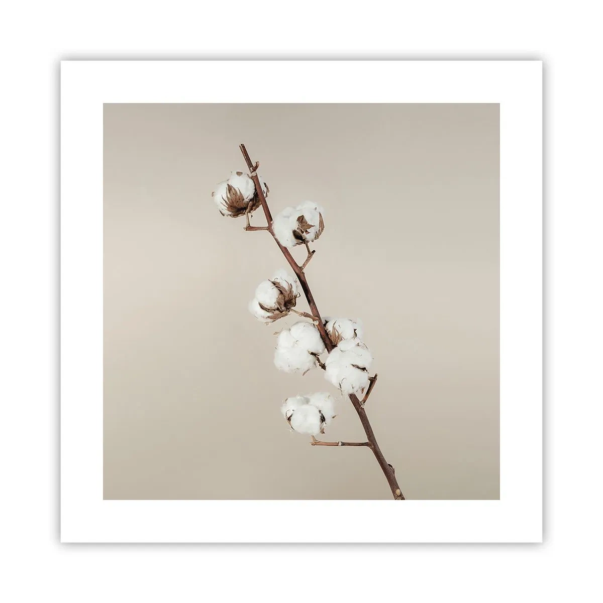 Plakat - U źródła miękkości - 40x40 cm