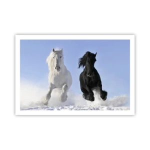 Plakat - Czarno-biały galop - 91x61 cm