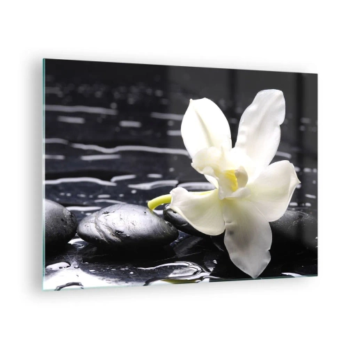 Obraz na szkle - Biała orchidea na mokrych czarnych kamieniach - 70x50cm - Studium w czerni i bieli - Nowoczesna dekoracja ścienna do salonu i sypialni ARTTOR