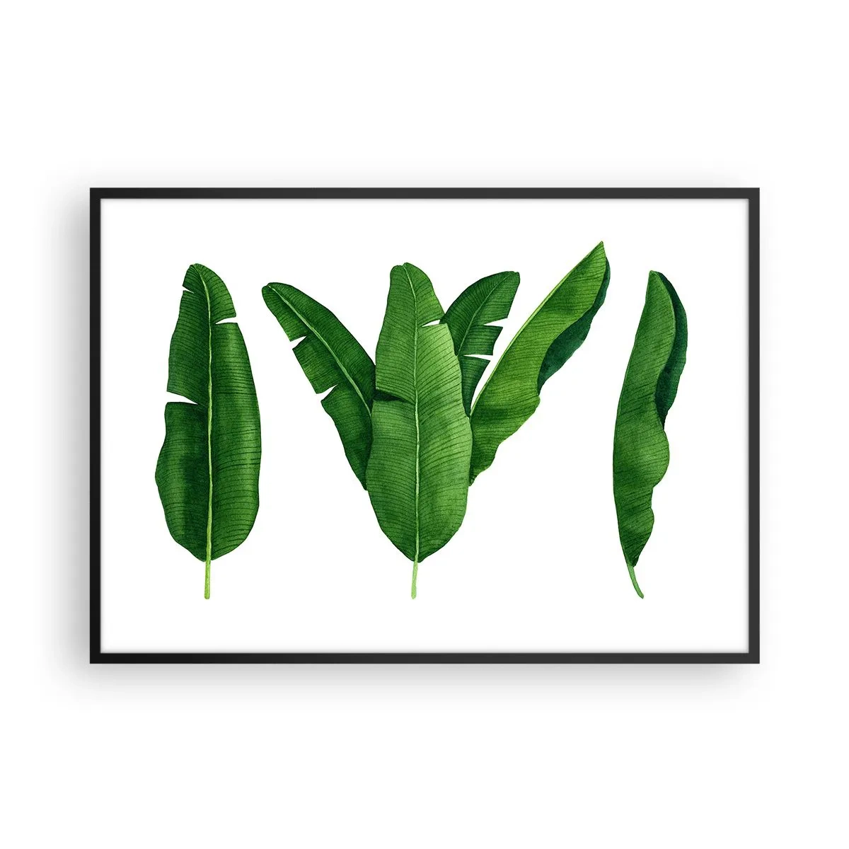 Plakat w czarnej ramie - Trzy liście bananowca w artystycznym ujęciu - 100x70cm - Zielona symetria - Nowoczesna dekoracja ścienna do salonu i sypialni ARTTOR