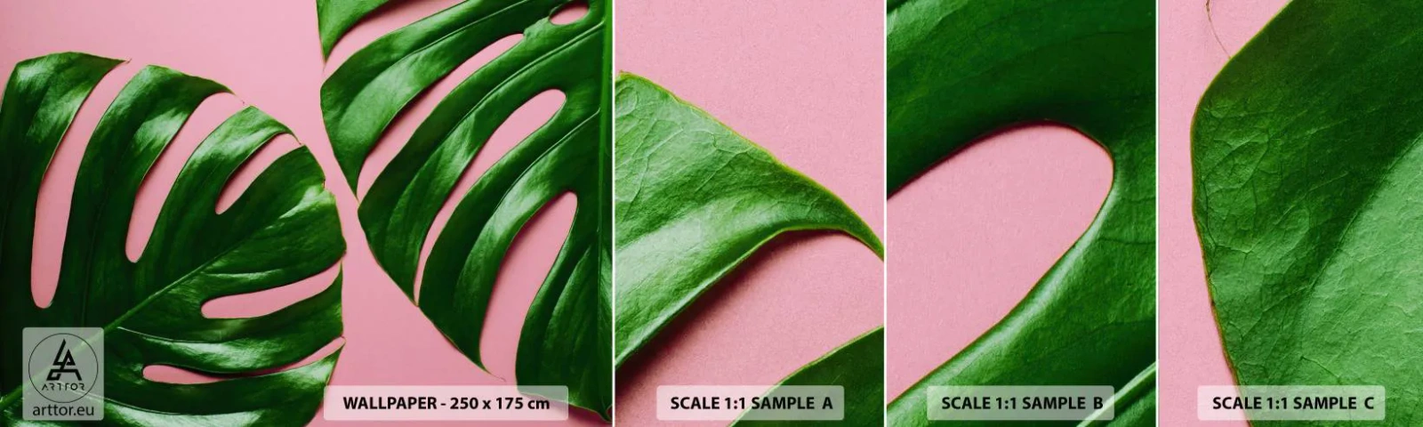 Fototapeta Próbka Samoprzylepna Deluxe Sticker - Zielone rendez-vous - Monstera, Zielony Liść, Roślina Egzotyczna - 100x30 cm