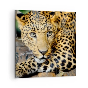 Obraz na płótnie - Nie bój się, podejdź - 50x50 cm