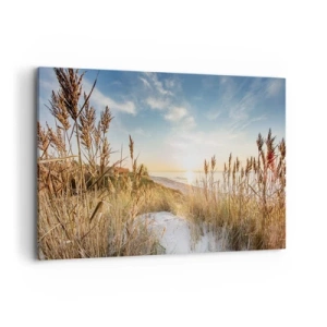 Obraz na płótnie - Malownicza plaża z trawami i zachodzącym słońcem - 120x80cm - Północna plaża - Nowoczesna dekoracja ścienna do salonu, kuchni i sypialni ARTTOR