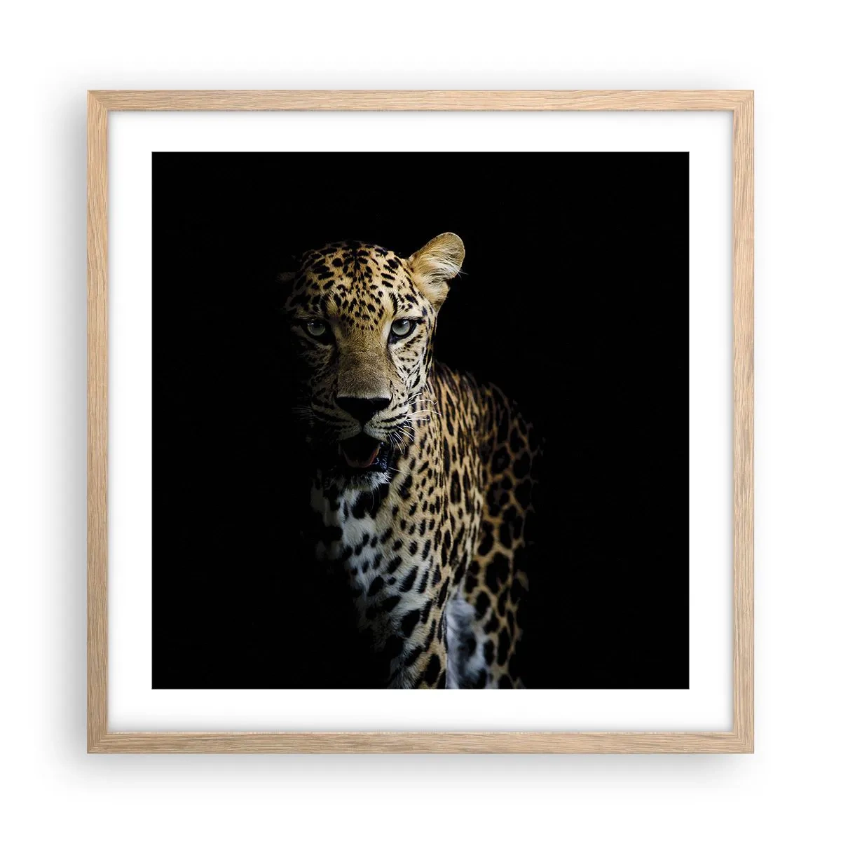 Plakat w ramie jasny dąb - Mroczne piękno - 50x50 cm