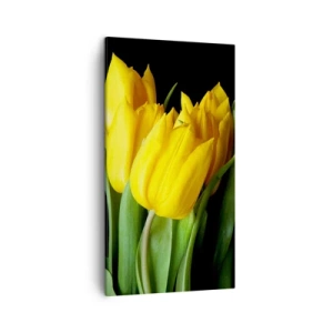 Obraz na płótnie - Powstały z czystego słońca - 45x80 cm