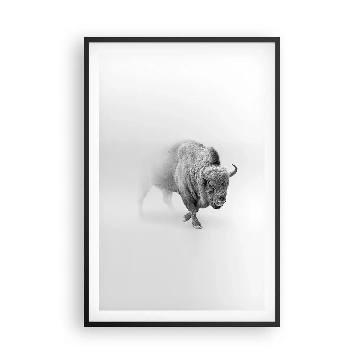 Plakat w czarnej ramie - Król prerii - 61x91 cm
