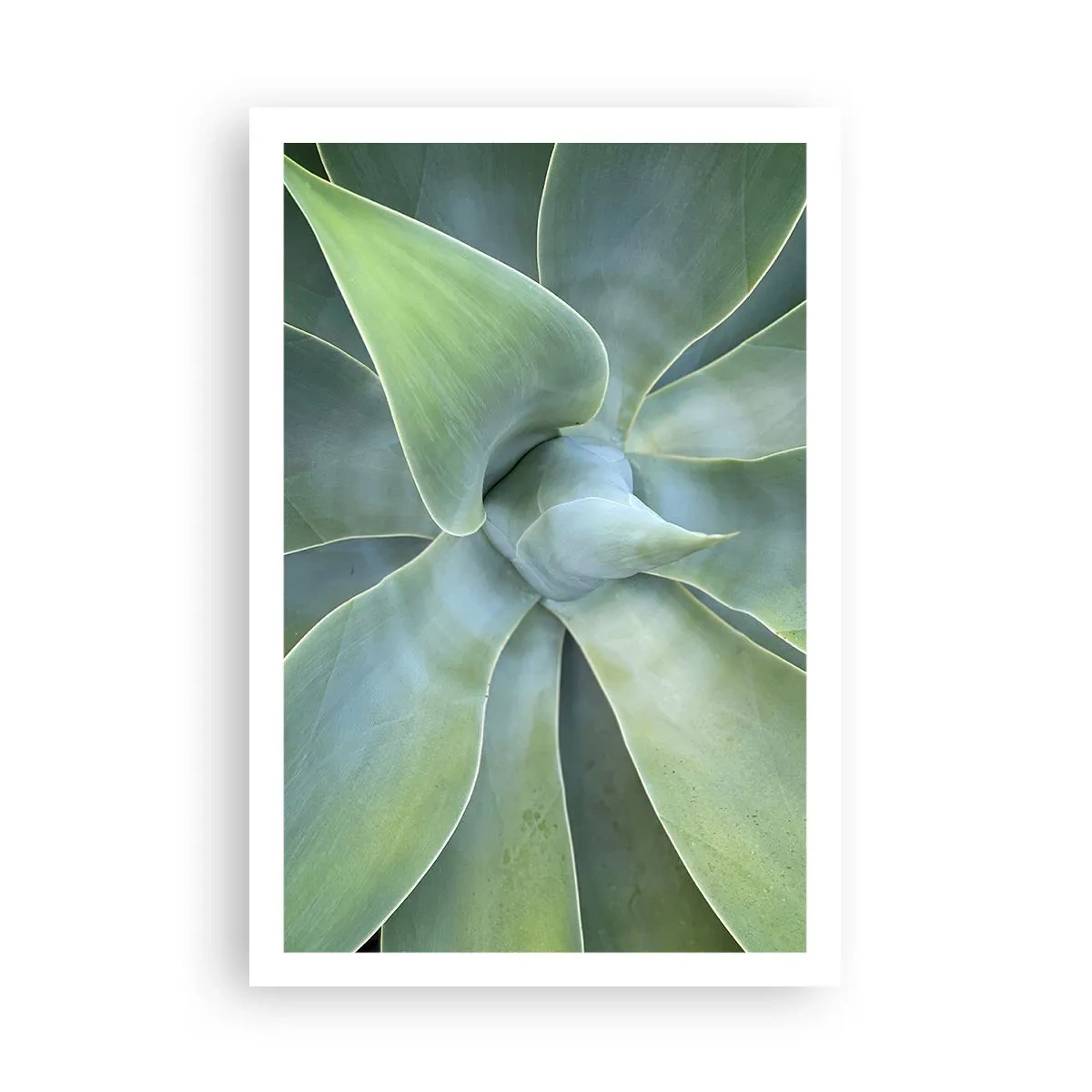 Plakat - Narodziny zieleni - 61x91 cm