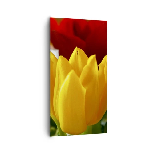 Obraz na płótnie - Tulipanowa gorączka - 65x120 cm