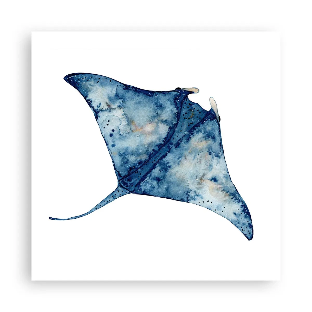 Plakat - Życie w błękicie - 50x50 cm