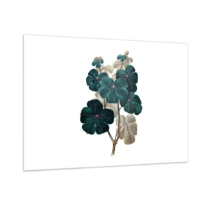 Obraz na szkle - Botaniczna ilustracja zielonych liści na białym tle - 100x70cm - Ze starego zielnika - Nowoczesna dekoracja ścienna do salonu, kuchni i sypialni ARTTOR