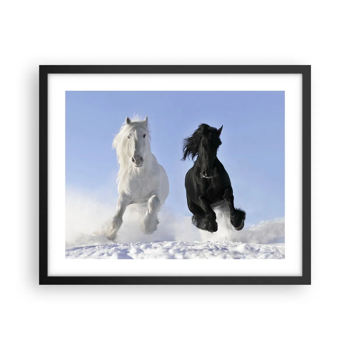 Plakat w czarnej ramie - Czarno-biały galop - 50x40 cm