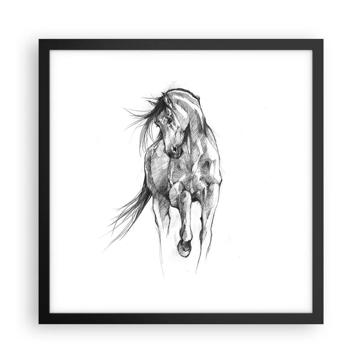 Plakat w czarnej ramie - We wdzięcznym kłusie - 40x40 cm