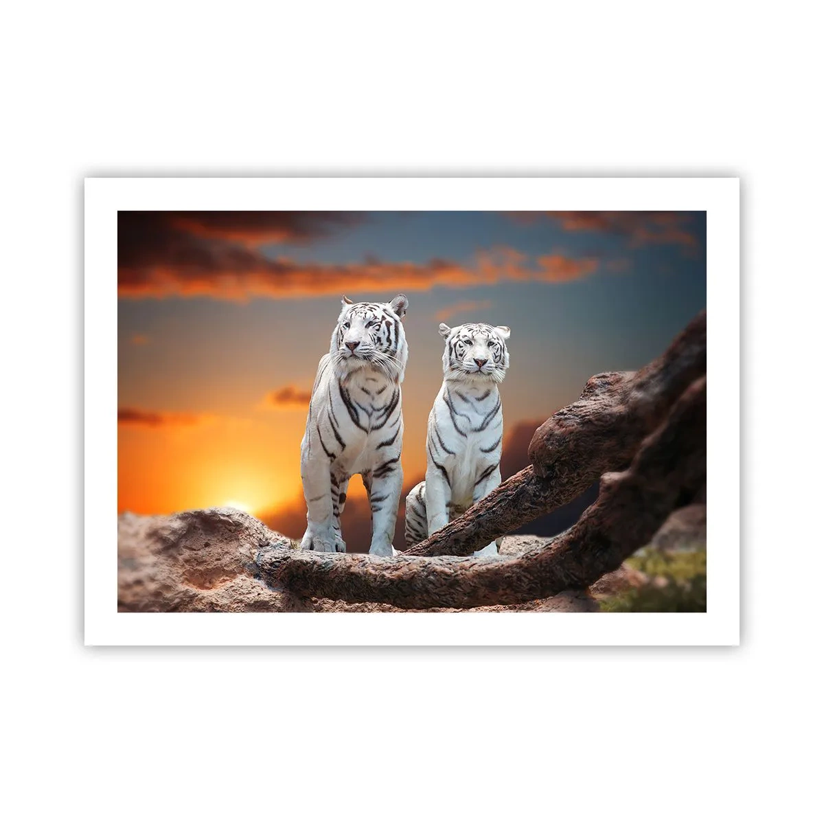 Plakat - Zupełnie jak w Narni - 70x50 cm