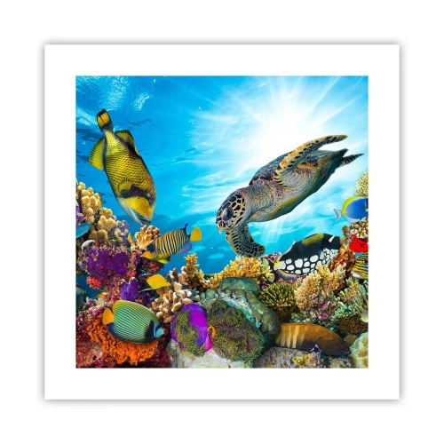 Plakat - Koralowa promenada - 40x40 cm