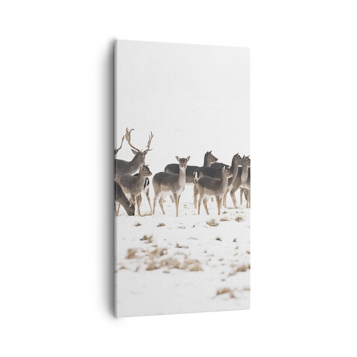 Obraz na płótnie - Idą święta? - 55x100 cm