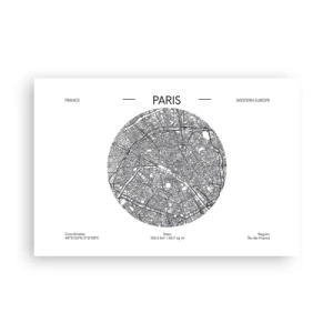 Plakat - Anatomia Paryża - 91x61 cm