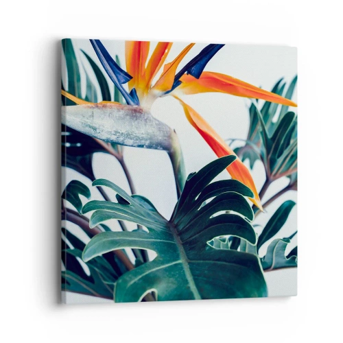 Obraz na płótnie - Ptakokrzak - 40x40 cm