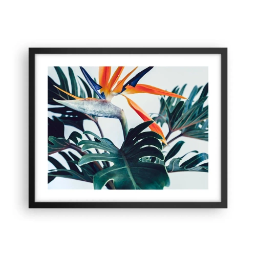 Plakat w czarnej ramie - Ptakokrzak - 50x40 cm