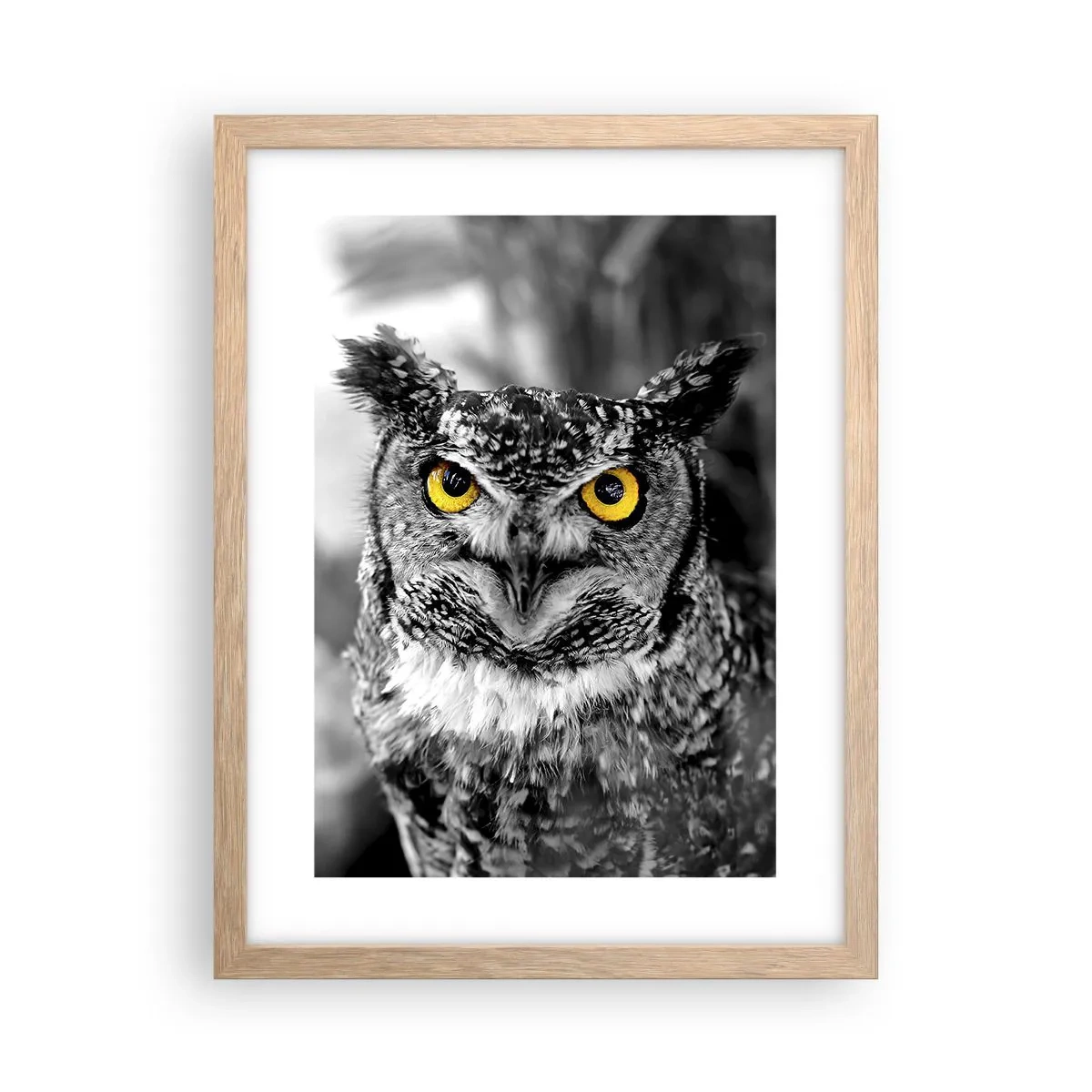 Plakat w ramie jasny dąb - Nic się nie ukryje - 30x40 cm