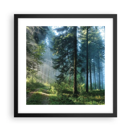 Plakat w czarnej ramie - Rozpromieniony o poranku - 40x40 cm