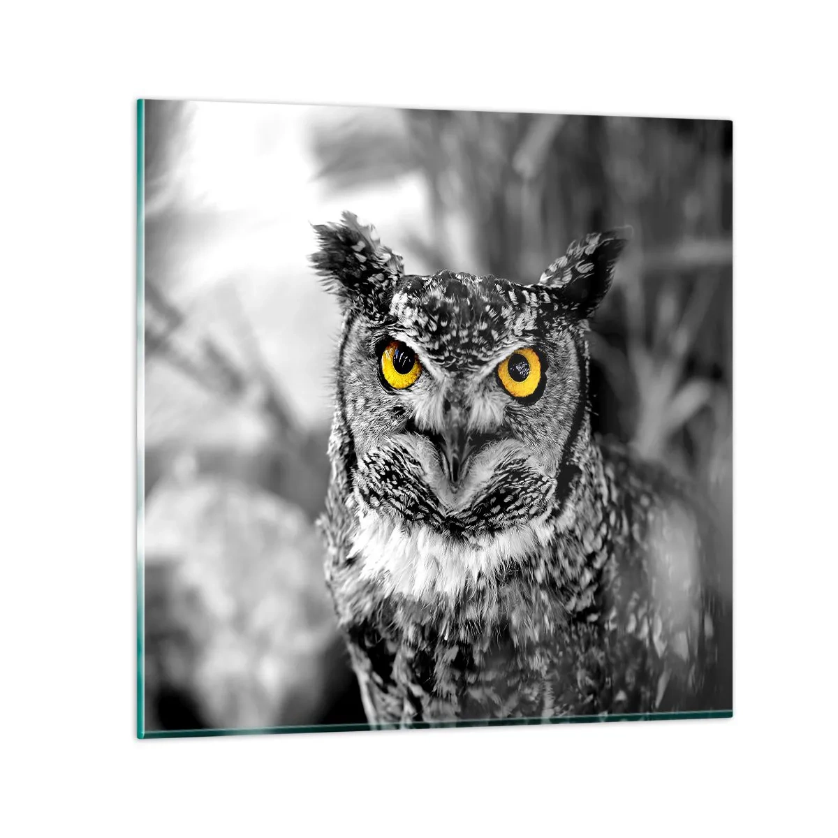 Obraz na szkle - Nic się nie ukryje - 40x40 cm